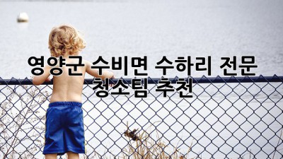 영양군 수비면 수하리 전문 청소팀 추천